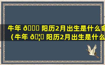 牛年 🕊 阳历2月出生是什么命（牛年 🦁 阳历2月出生是什么命格）